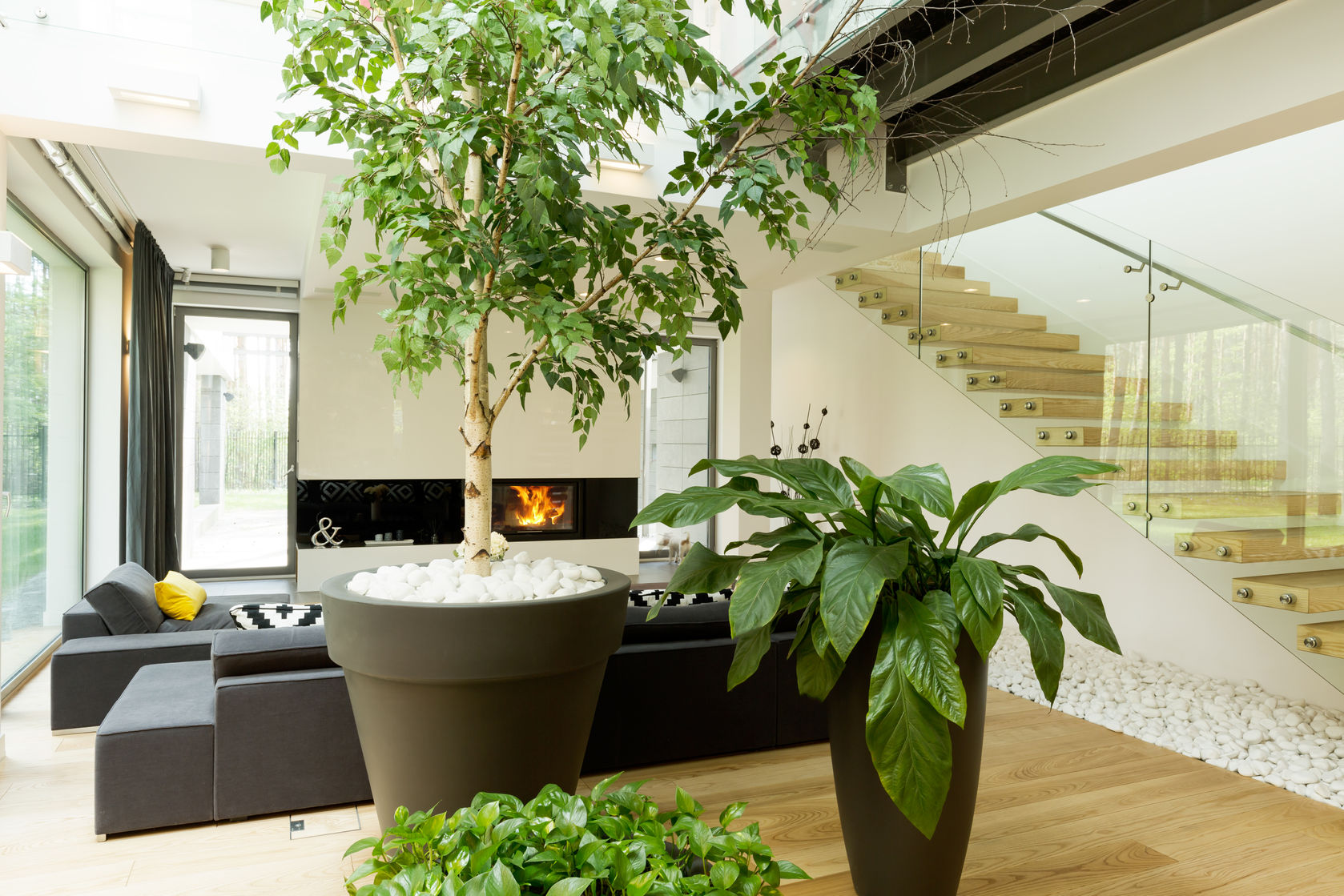 indoor home gardening living room