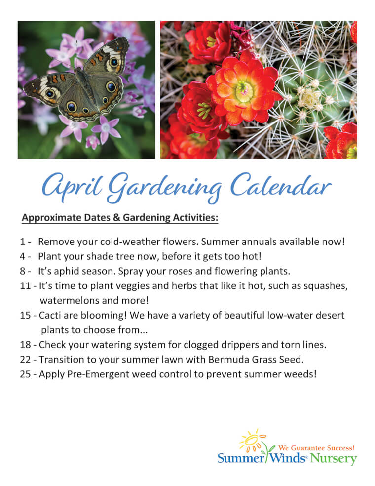 April Gardening Calendar Arizona SummerWinds Nursery