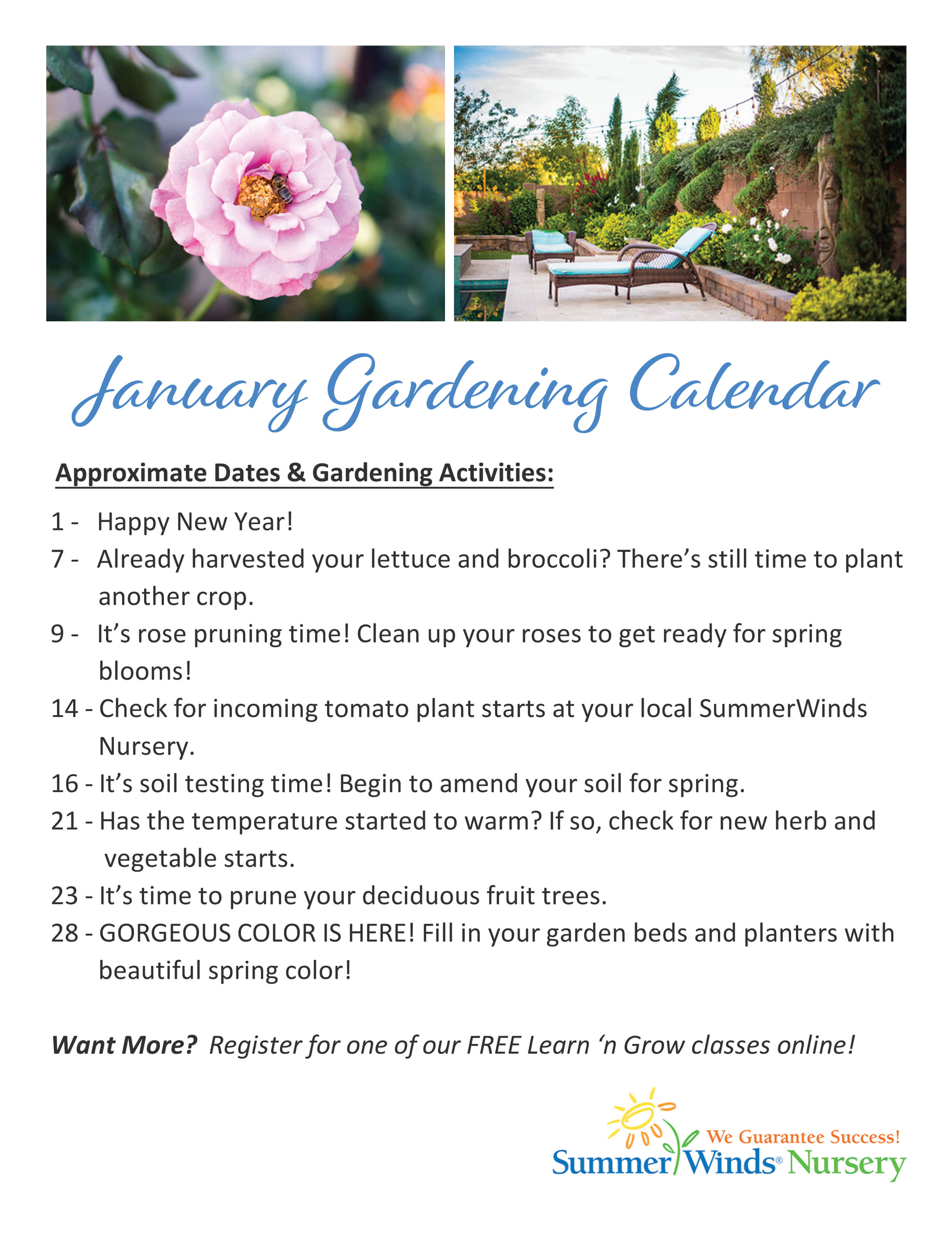 January Gardening Calendar Arizona SummerWinds Nursery
