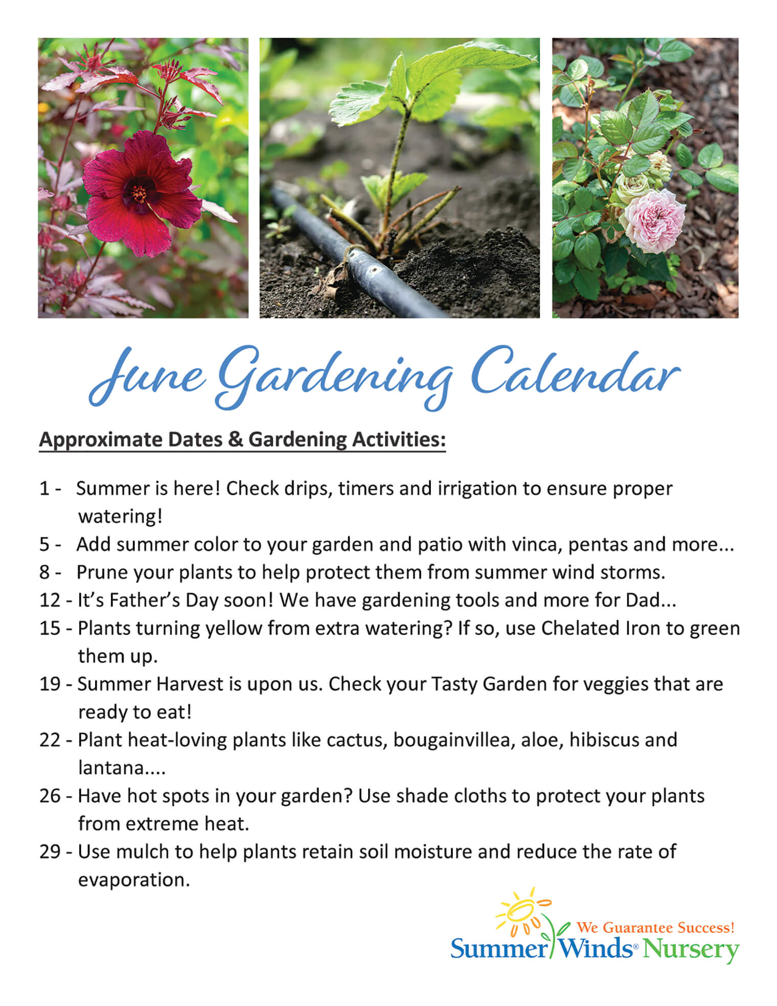 June Gardening Calendar Arizona SummerWinds Nursery