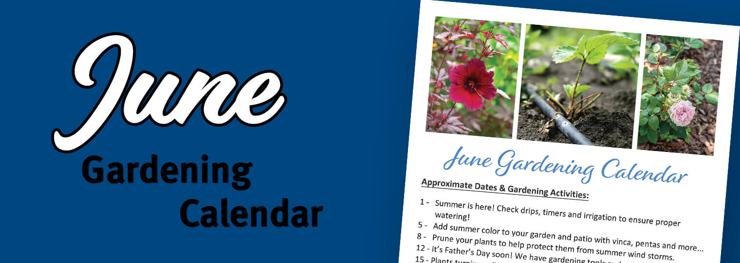 June Gardening Calendar Arizona SummerWinds Nursery