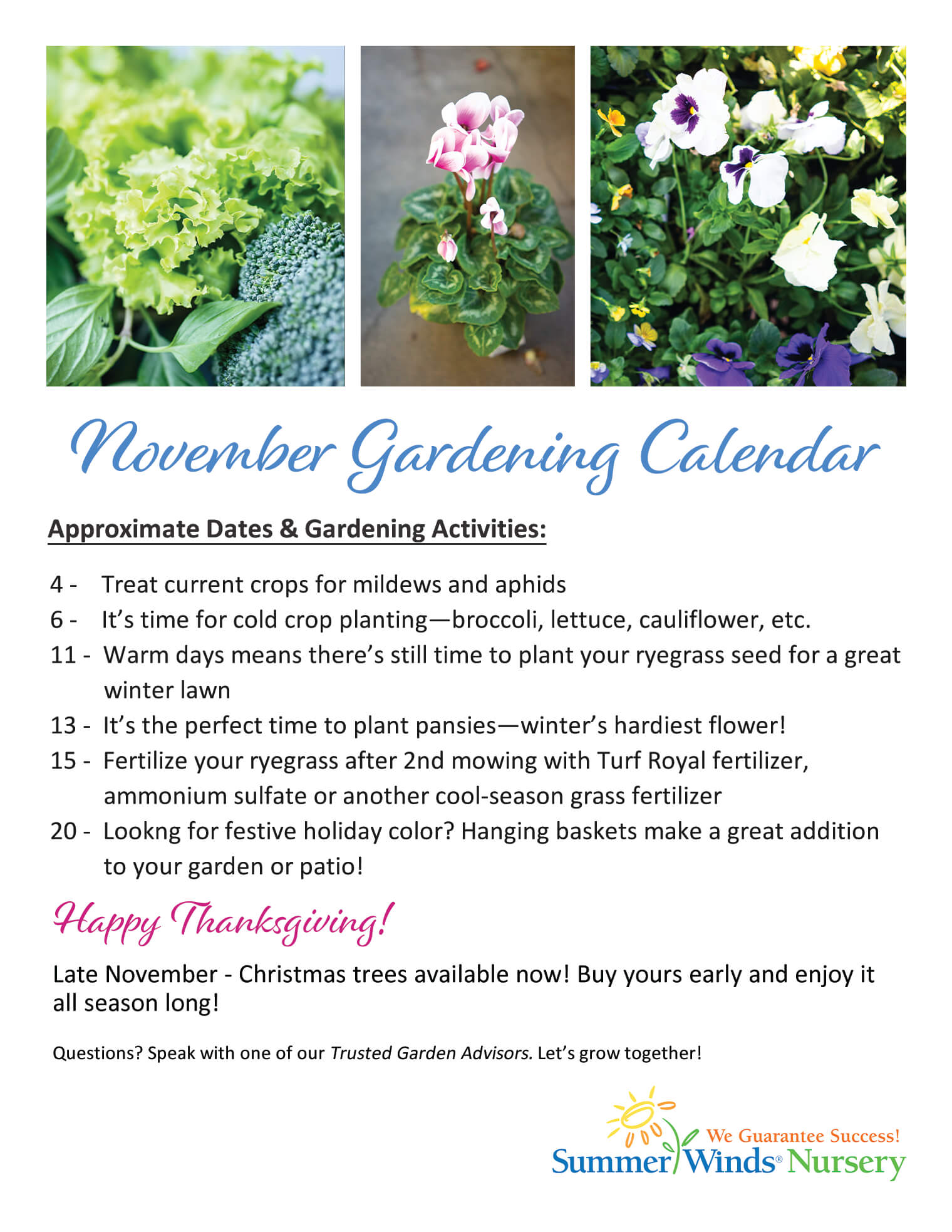 November Gardening Calendar Arizona SummerWinds Nursery