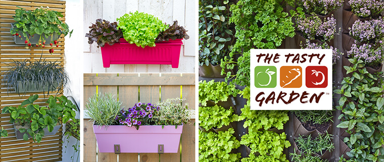 Urban Container Gardening | California | SummerWinds Nursery