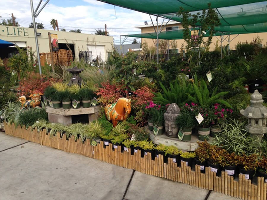 Santa Clara Summerwinds Nursery California Enjoy A Respite From The Rain Or Sun As Nearly Half Of Offers Covered Browsing Attend Cl Work Hold Community Event In Our