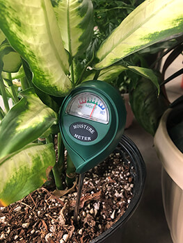 Moisture Meter Moisture Meter