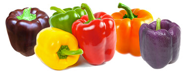 Bell Peppers Bell Peppers
