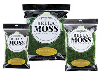 Bella Moss - Forest Bella Moss - Forest