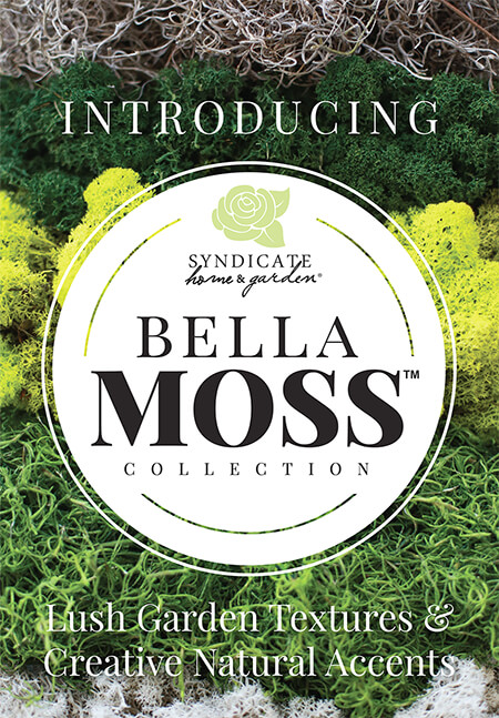 Bella Moss Bella Moss