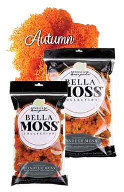 Bella Moss - Autumn Reindeer Bella Moss - Autumn Reindeer