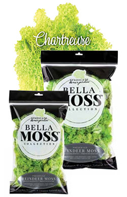 Bella Moss - Chartreuse Reindeer Bella Moss - Chartreuse Reindeer