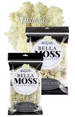 Bella Moss - Natural Reindeer Bella Moss - Natural Reindeer