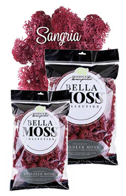 Bella Moss - Sangria Reindeer Bella Moss - Sangria Reindeer