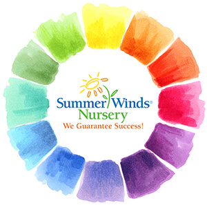Color Wheel Color Wheel