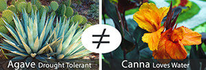 Water requirements Water requirements