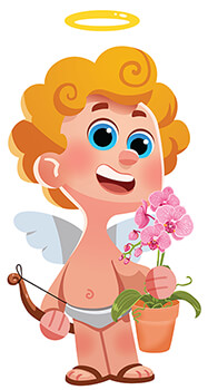 Cupid Cupid