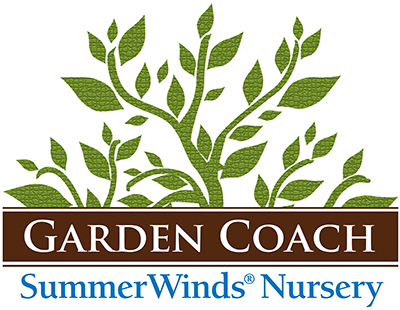 Services – Arizona | SummerWinds